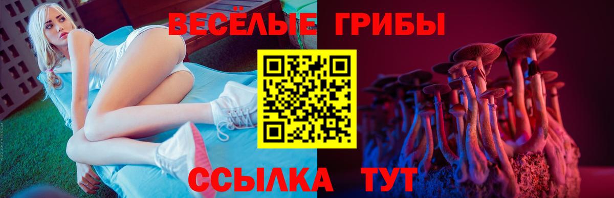 Галлюциногенные грибы прущие грибы  Вход с VPN  Лабинск 